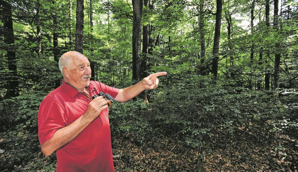 «Die Waldluft ist schon etwas Besonderes.» Walter Büchel geniesst seine Spaziergänge im Rüthner Wald.