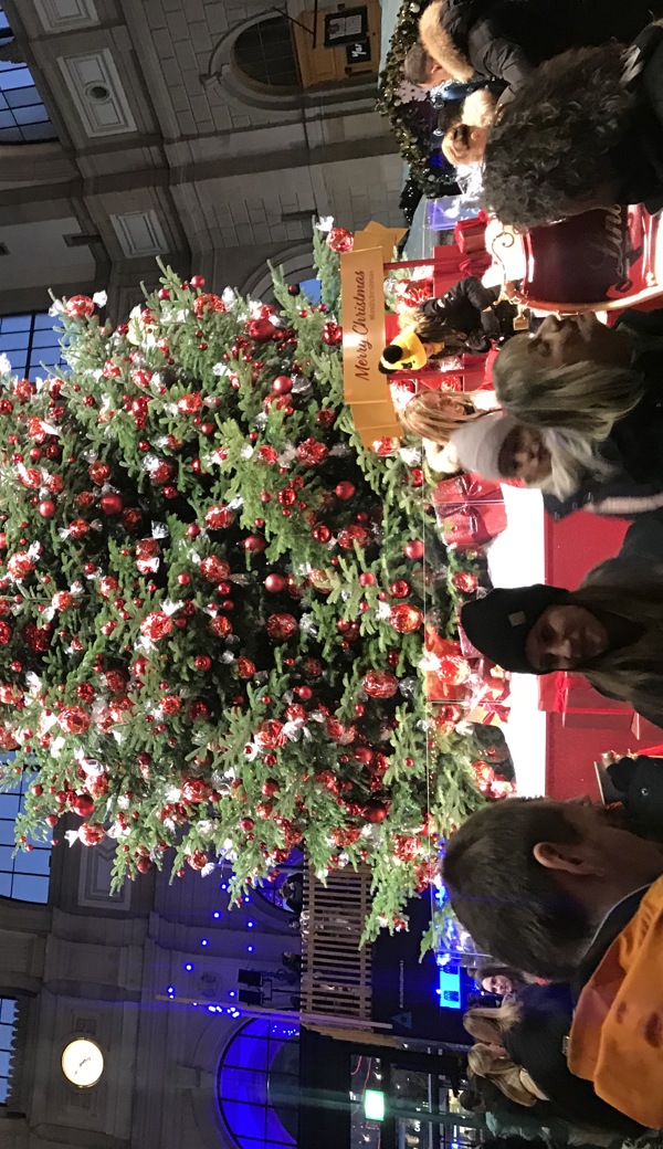 Der süsseste Weihnachtsbaum Zürichs brachte die Frauen aus Oberriet und Kobelwald zum Staunen. 