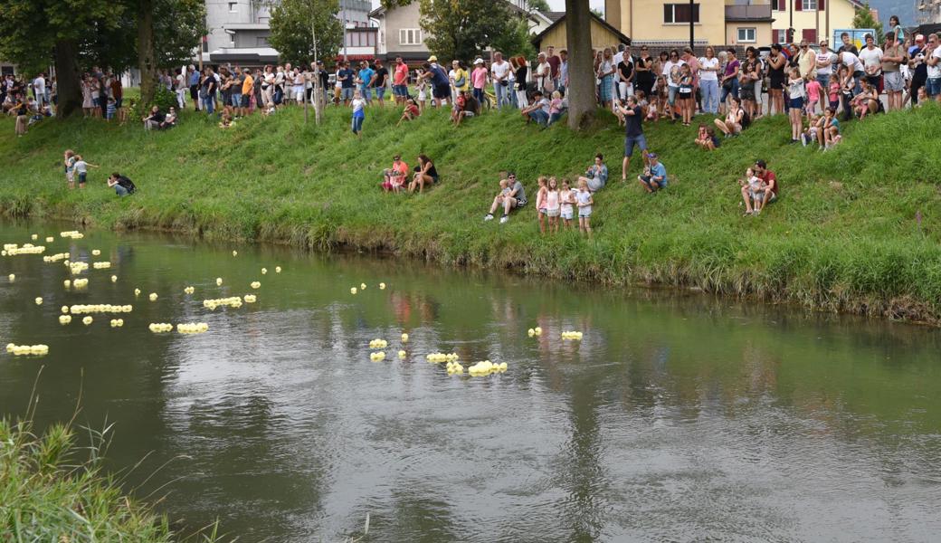 3200 Gummientchen und jede Menge Zuschauer: Das «Rheintaler»-Entenrennen zog die Binnenfest-Besucher wieder in seinen Bann.