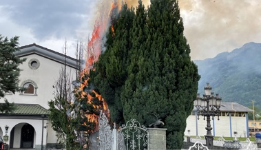 Unkraut verbrennen artete aus: Zwei Zypressen standen in Flammen