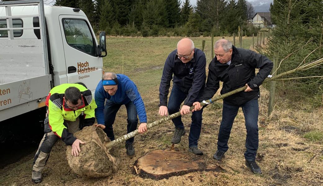 Die politische Gemeinde, die beiden Ortsgemeinden und die Naturschutzgruppe Alta Rhy wollen gemeinsam mit der Diepoldsauer Bevölkerung 200 Bäume pflanzen. Erste hat man schon gesetzt. 