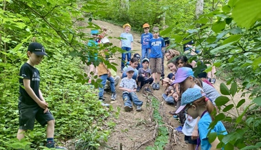 Kinder bauten eine Outdoor-Kügelibahn allein aus Naturmaterialien