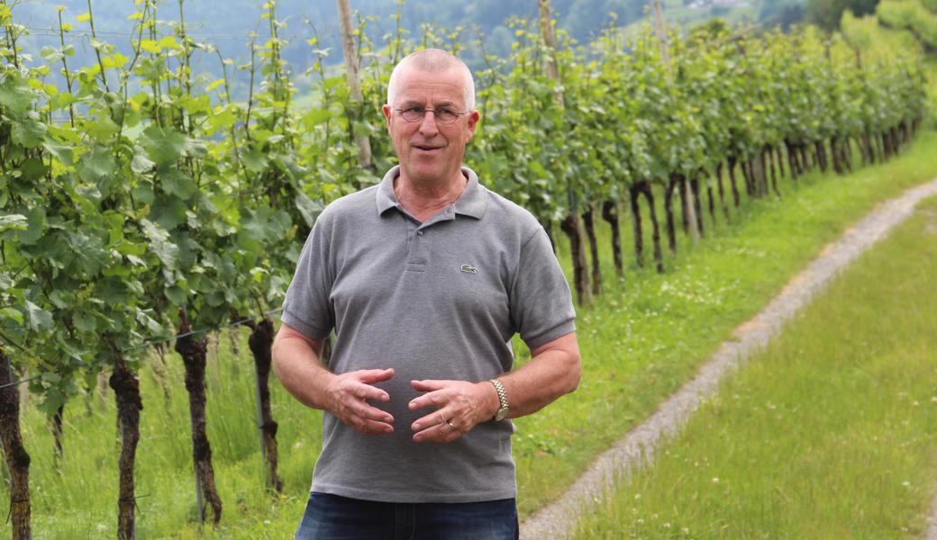 Jacques Sinz führte durch den erneuerten Weinwanderweg.