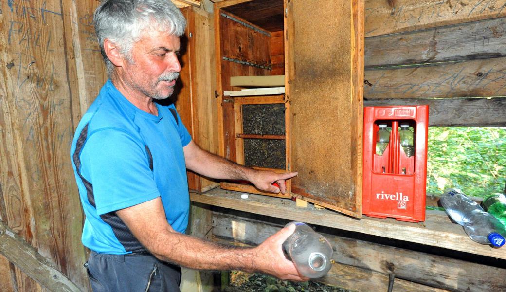 Ernst Kobler schaut fast täglich zu seinen Bienen im Wald. Hier hat er ihnen gerade frisches Zuckerwasser gebracht.