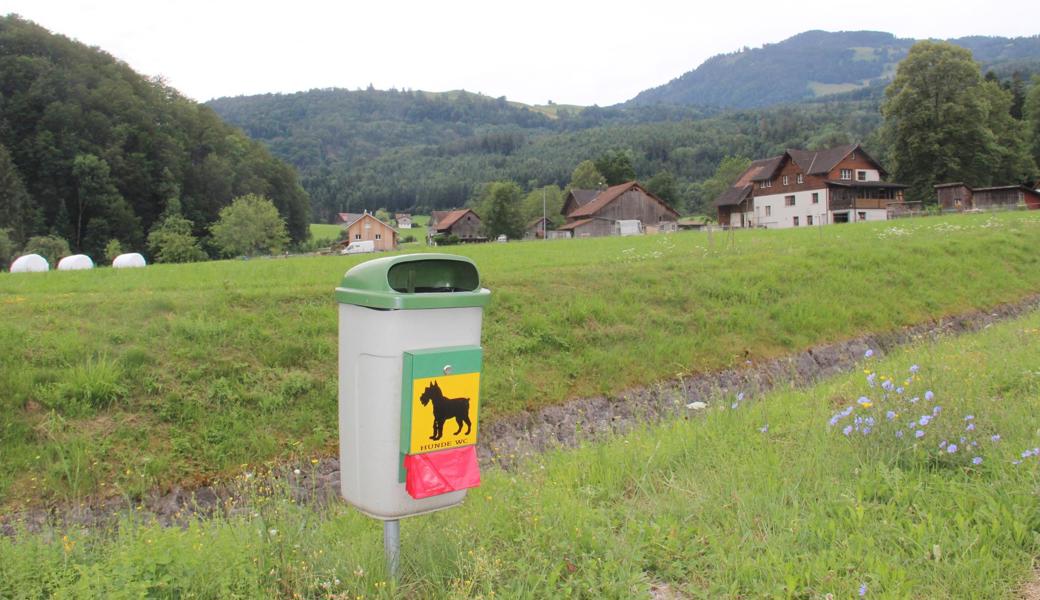 Dieser Robidog befindet sich am Dürrenbach beim Oberrieter Gebiet Watt, in dem Hansueli Hautle lebt. Weiter bergwärts gibt es keine Robidogs. 