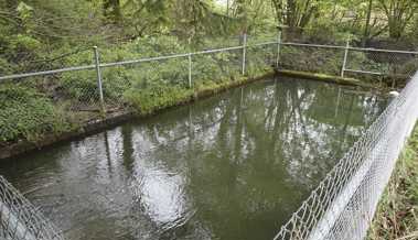 Vor 100 Jahren wurde das Becken in der Zelg nicht ausgebaut, weil Voyeure befürchtet wurden