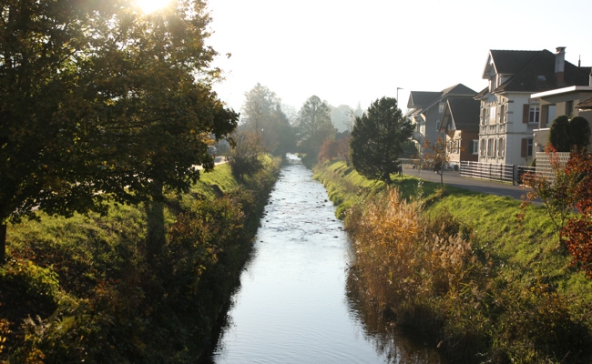 Hochwasserschutzprojekt Freibach-Gstaldenbach: Positive Rückmeldungen, Auflage im Frühling