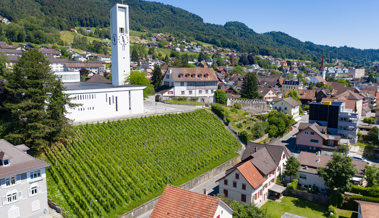 Steuerabschluss 2023 fällt durchzogen aus: Steuerkraft pro Einwohner ist gesunken
