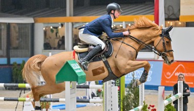 Heimsieg: Linus Hanselmann gewinnt am Hallenspringen Oberriet zwei Hauptprüfungen