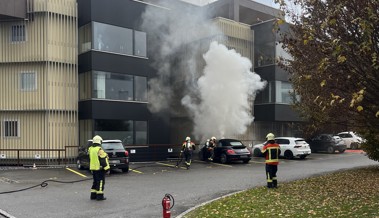 Verdächtiger Geruch im Auto: Autofahrerin stoppte ihre Fahrt