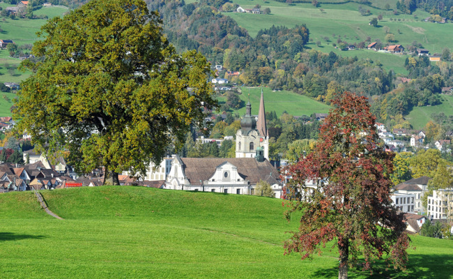 Stadt legt ihre neue Schutzverordnung öffentlich auf