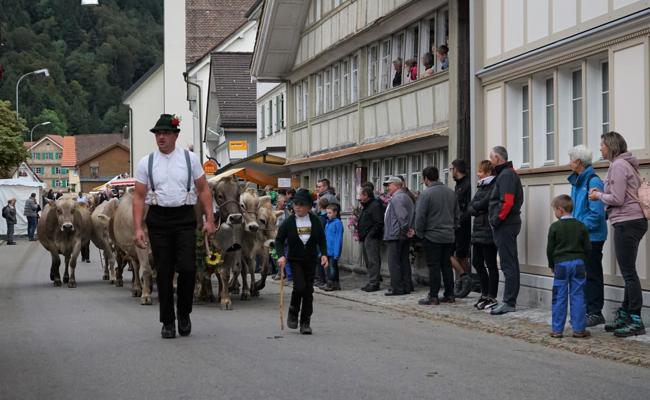Züchter befürchten nach Absagen Konsequenzen