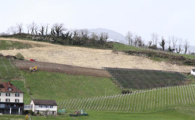 Einen Hektar Rebberg terrassiert