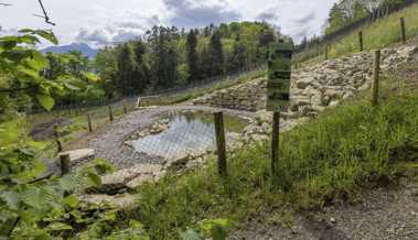 Ein Paradies für  Zauneidechse und Co. hoch ob dem Dorf