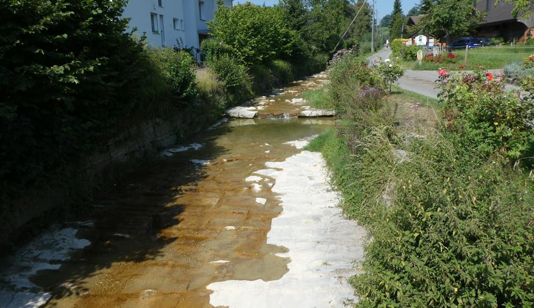 Der Steinlibach