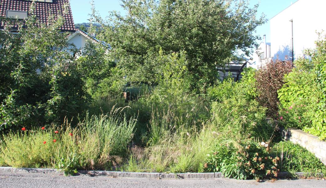 Naturnähe sieht anfangs recht wild aus.