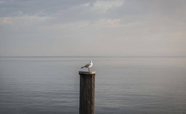 Blaufahrer und ein unfreiwilliger Badegast: Die Kapo St. Gallen hatte viel zu tun