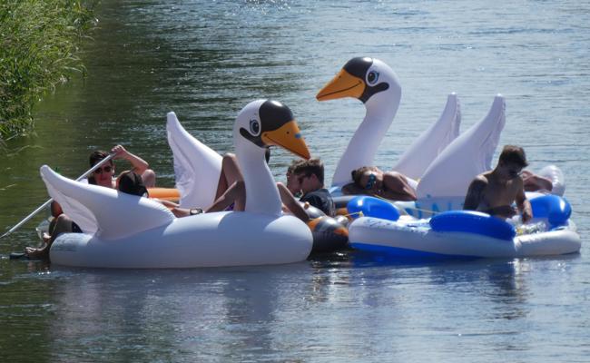 Spass auf dem Gummischwan
