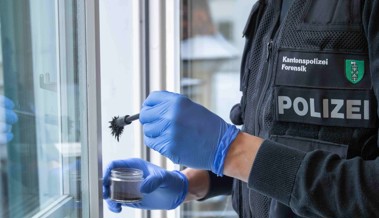 Einbrecher lassen Weinflaschen mitgehen und verursachen Sachschaden