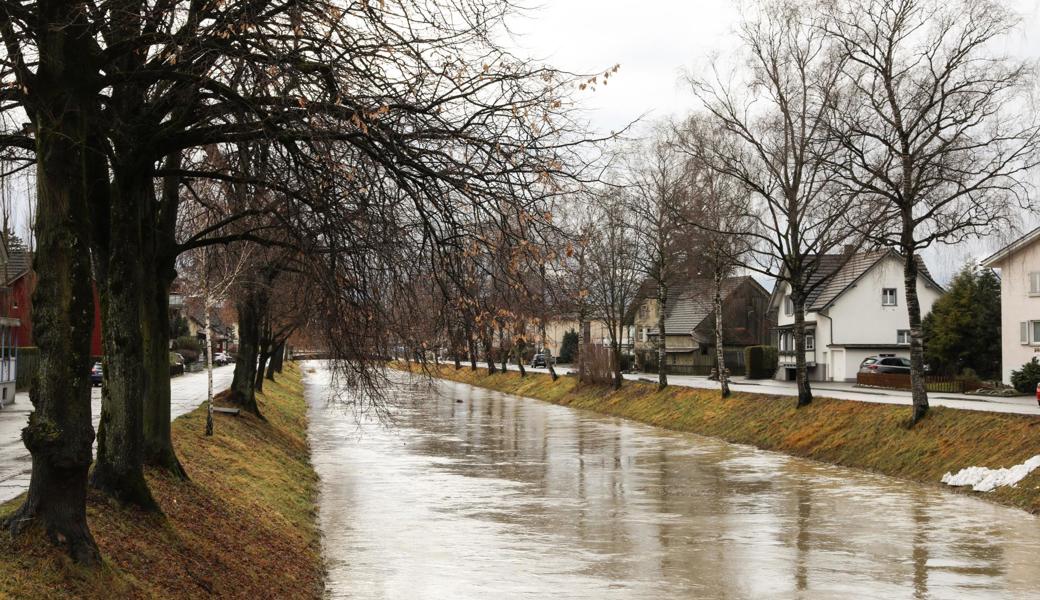 Der Kanal in Widnau.