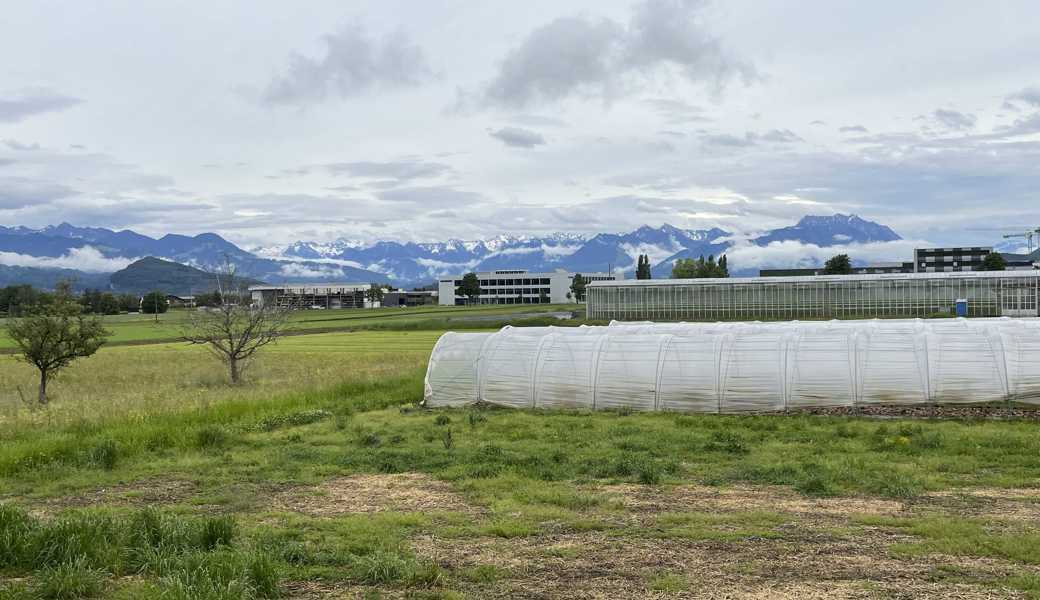 Von einem neuen Staatsstrasse-Kreisel beim Lüchinger Lidl soll die Ostumfahrung über Wiesen in Richtung Süden (zur Kriessernstrasse) führen, vorbei an Gewächshäusern und der Seven-Überbauung (rechts der Gewächshäuser). Hinten links sind die Gebäude der Firmen Räss und Manser zu sehen. Von einem neuen Staatsstrasse-Kreisel beim Lüchinger Lidl soll die Ostumfahrung über Wiesen in Richtung Süden (zur Kriessernstrasse) führen, vorbei an Gewächshäusern und der Seven-Überbauung (rechts der Gewächshäuser). Hinten links sind die Gebäude der Firmen Räss und Manser zu sehen.