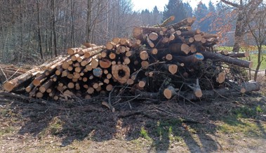 Wärmeverbund nimmt auch die letzte Hürde: Die Siedlung Wattenau sagt einstimmig Ja zum Beitritt Wärmeverbund nimmt auch die letzte Hürde: Die Siedlung Wattenau sagt einstimmig Ja zum Beitritt