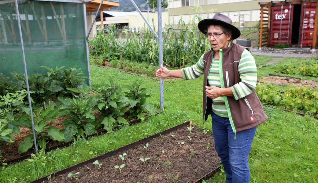 Eveline Dudda im Garten, der das Gemüse für das Personalrestaurant der Zünd Systemtechnik AG produziert: «Auch Überproduktion ist kein Thema: Fällt einmal zu viel Ware an, freuen sich die Mitarbeiter, wenn sie das biologisch angebaute Gemüse zu einem guten Preis mitnehmen dürfen.»
