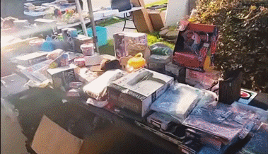 Party am Flohmarkt und Bibliotheksfest - das läuft am Wochenende