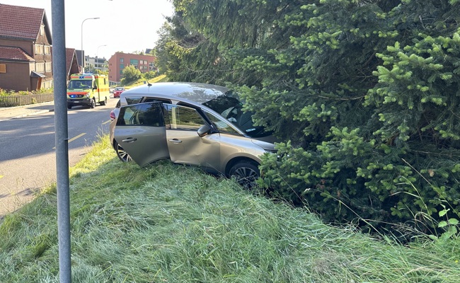 83-Jähriger kommt mit dem Auto von der Strasse ab und landet in Wiesenbord