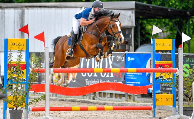 Herbstspringen und Dressurtage beim KV Oberrheintal