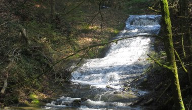 Die Bäche führen nach langer Trockenheit wieder Wasser