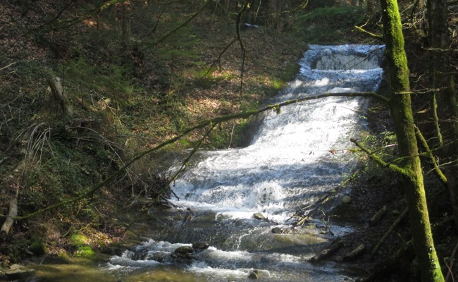 Die Bäche führen nach langer Trockenheit wieder Wasser