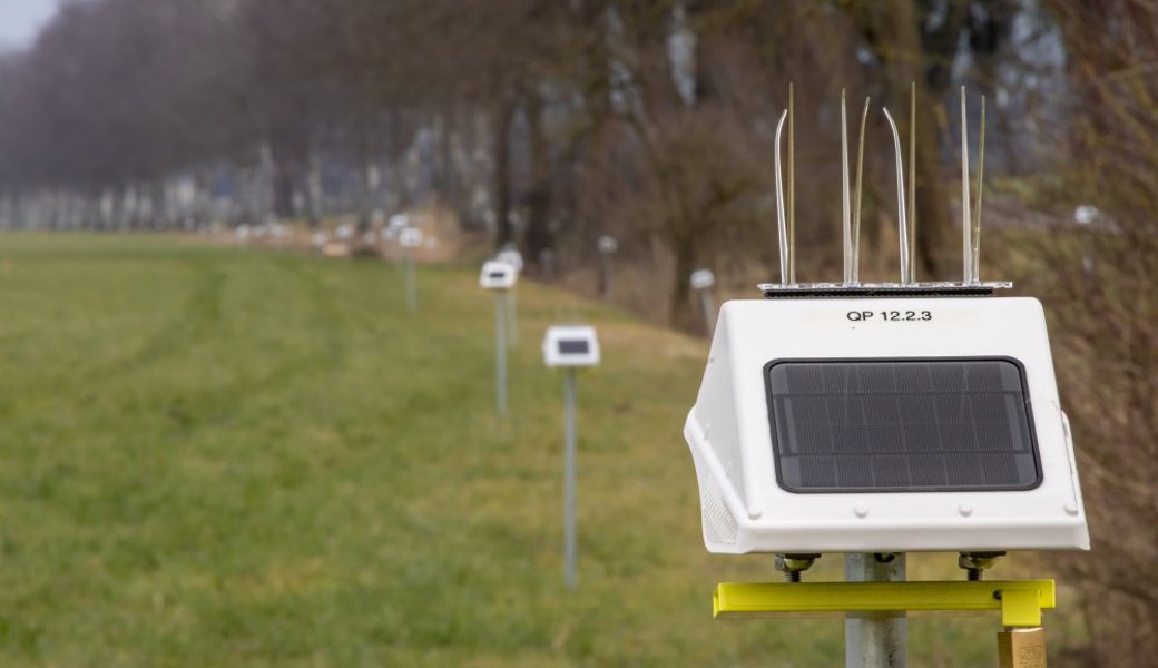 Seit kurzem sind beim Rheindamm «Ausserirdische» zu finden. Seit kurzem sind beim Rheindamm «Ausserirdische» zu finden.