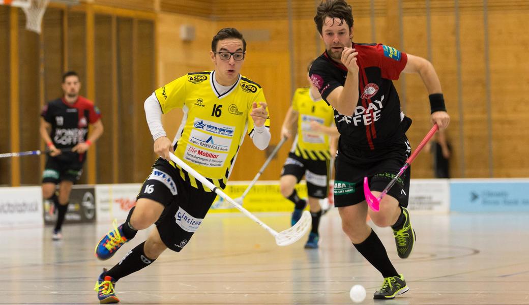 Die Gators und die Gegner aus Limmattal trafen nicht zum ersten Mal aufeinander.