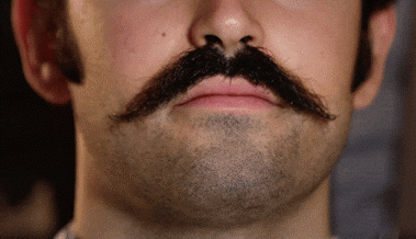 Schnauzball, Stand-Up-Comedy und Tätscher-Nacht - das läuft am Wochenende Schnauzball, Stand-Up-Comedy und Tätscher-Nacht - das läuft am Wochenende