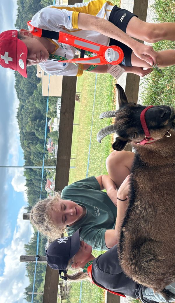 Der Besuch auf dem Bauernhof gehört im Kinderlager zur Tradition.