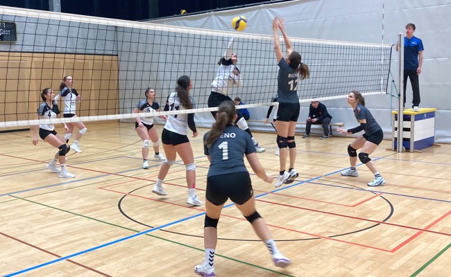 Rheno-Frauen holen vor der Weihnachtspause nochmals drei Punkte