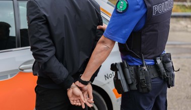 Dieseldiebe festgenommen – schlugen sie bereits in der Nacht zuvor zu?