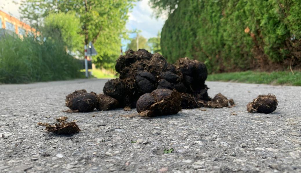 Pferdeäpfel auf der Strasse? In Diepoldsau ist das kein Problem mehr.