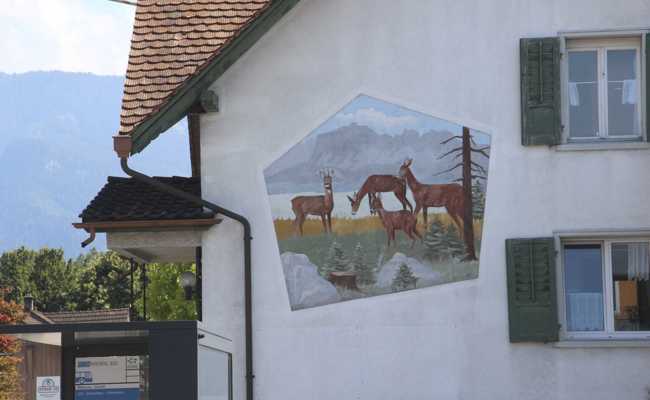 Rätsel um Fassadenkunst: Widnauer Rehe und ihr unbekannter Künstler
