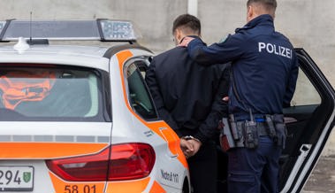 Nach versuchtem Diebstahl: Mann beisst Polizist und wird doppelt verzeigt