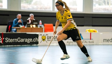 Interessante Spiele im Cup für die beiden Gators-Fanionteams