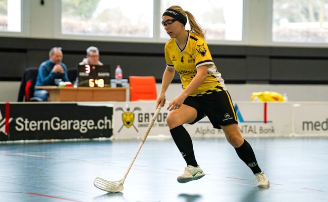 Interessante Spiele im Cup für die beiden Gators-Fanionteams