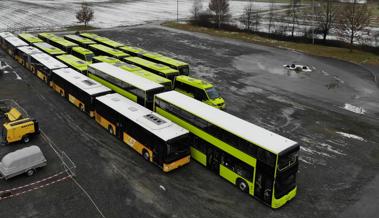 Eine ganze Busflotte für den Export