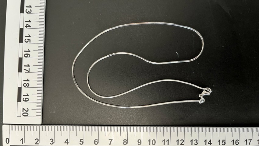 Sicherstellung E 1.19 Halskette Sicherstellung E 1.19 Halskette