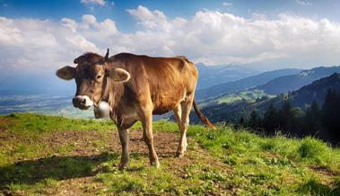 Begegnung ob Altstätten