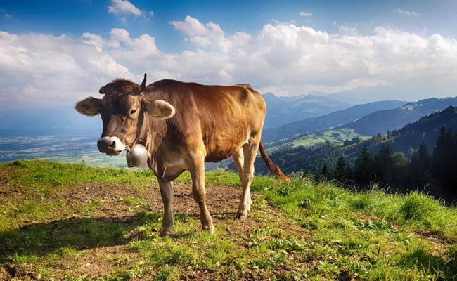Begegnung ob Altstätten