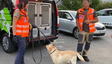 Samariter staunen über die Super-Schnüffelnasen der Suchhunde