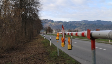 Frösche und Kröten wandern wieder: Rietstrasse ist abends gesperrt