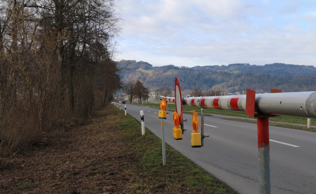Frösche und Kröten wandern wieder: Rietstrasse ist abends gesperrt